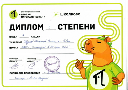 Первая математическая Школково (диплом 3 степени)